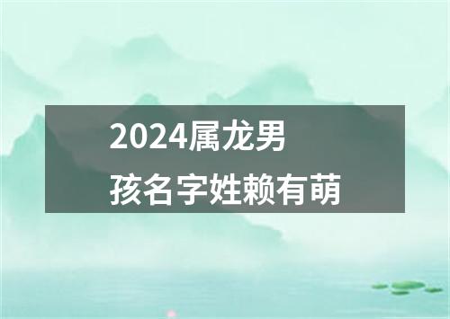 2024属龙男孩名字姓赖有萌