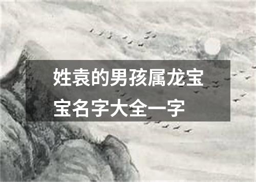 姓袁的男孩属龙宝宝名字大全一字