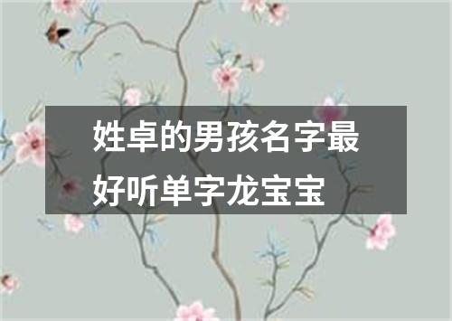 姓卓的男孩名字最好听单字龙宝宝