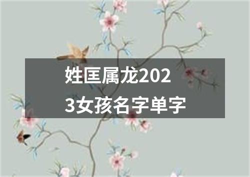 姓匡属龙2023女孩名字单字