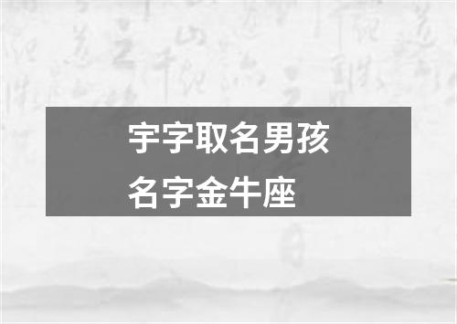 宇字取名男孩名字金牛座