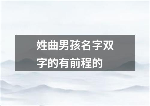 姓曲男孩名字双字的有前程的