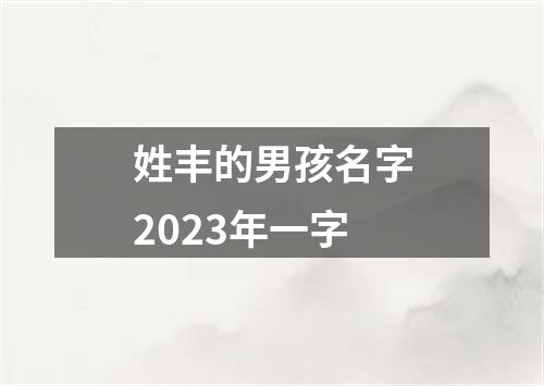 姓丰的男孩名字2023年一字