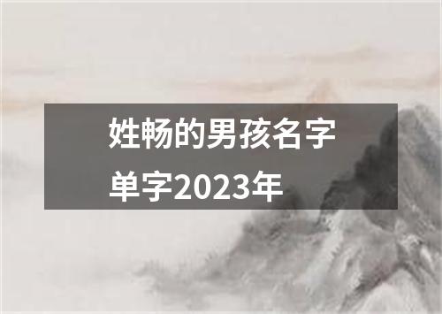 姓畅的男孩名字单字2023年