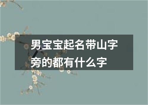 男宝宝起名带山字旁的都有什么字