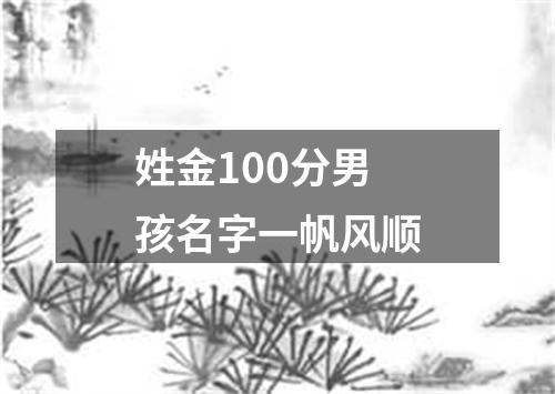 姓金100分男孩名字一帆风顺