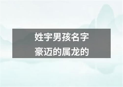 姓宇男孩名字豪迈的属龙的