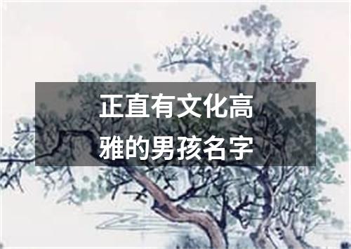 正直有文化高雅的男孩名字