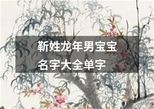 靳姓龙年男宝宝名字大全单字