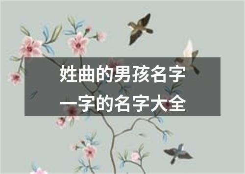 姓曲的男孩名字一字的名字大全