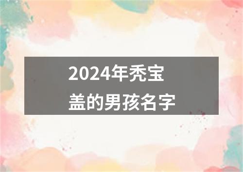 2024年秃宝盖的男孩名字