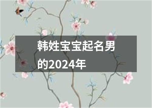 韩姓宝宝起名男的2024年