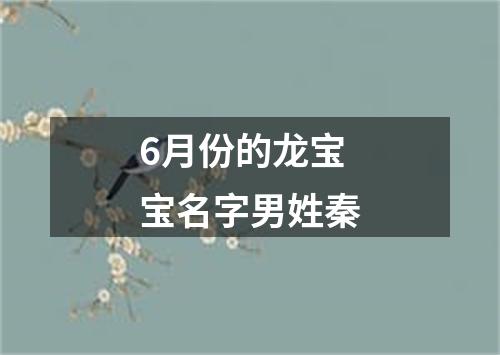 6月份的龙宝宝名字男姓秦