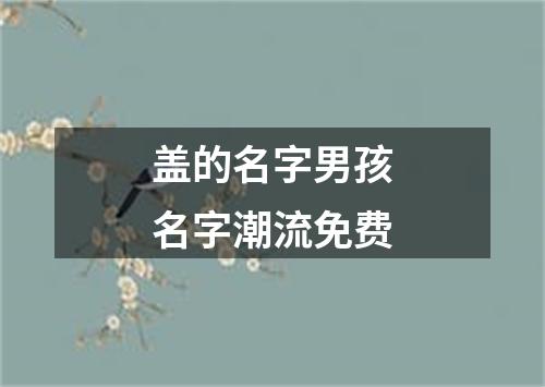 盖的名字男孩名字潮流免费