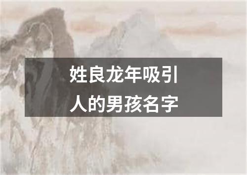 姓良龙年吸引人的男孩名字