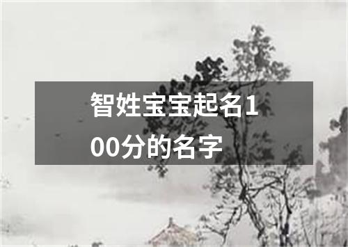 智姓宝宝起名100分的名字