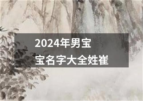 2024年男宝宝名字大全姓崔