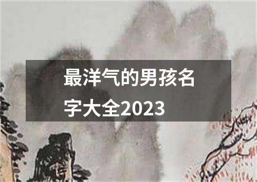 最洋气的男孩名字大全2023