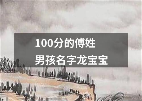 100分的傅姓男孩名字龙宝宝