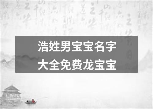 浩姓男宝宝名字大全免费龙宝宝