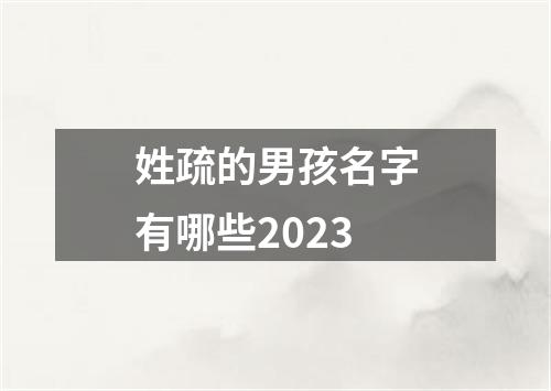 姓疏的男孩名字有哪些2023