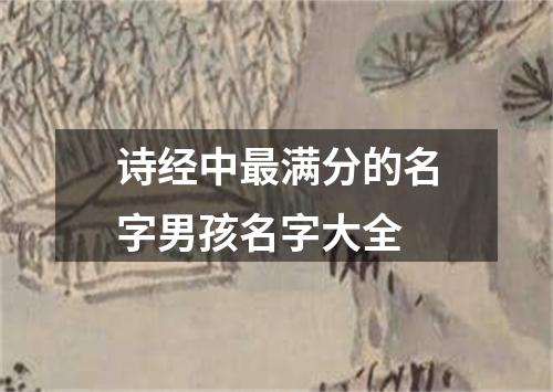 诗经中最满分的名字男孩名字大全