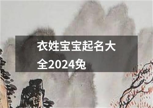 衣姓宝宝起名大全2024兔