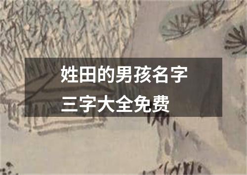 姓田的男孩名字三字大全免费