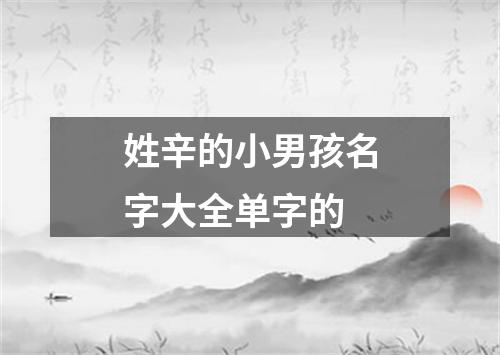 姓辛的小男孩名字大全单字的