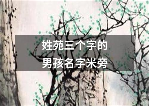 姓苑三个字的男孩名字米旁