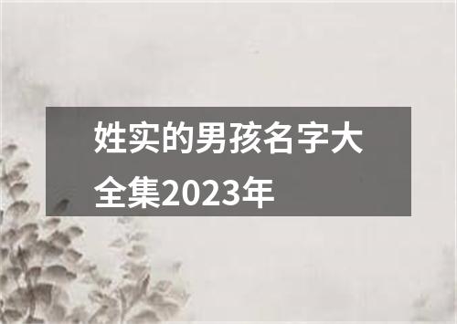 姓实的男孩名字大全集2023年