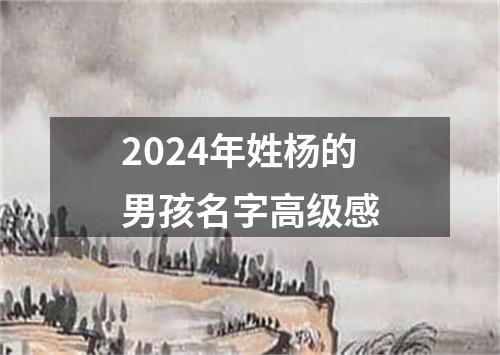 2024年姓杨的男孩名字高级感