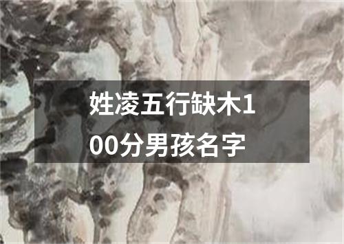 姓凌五行缺木100分男孩名字