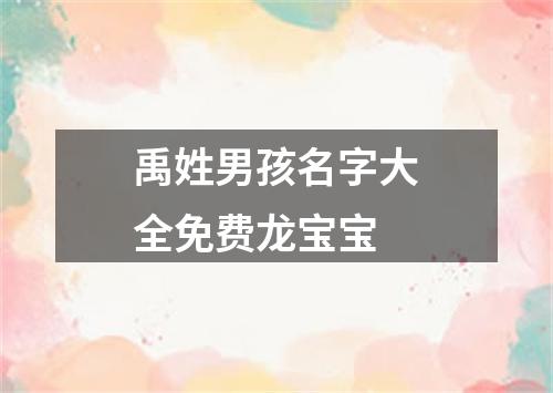 禹姓男孩名字大全免费龙宝宝