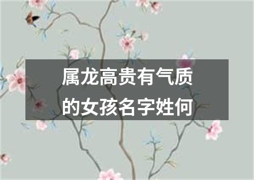 属龙高贵有气质的女孩名字姓何