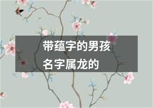 带蕴字的男孩名字属龙的