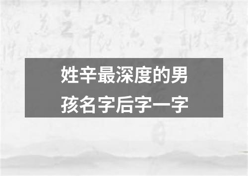 姓辛最深度的男孩名字后字一字