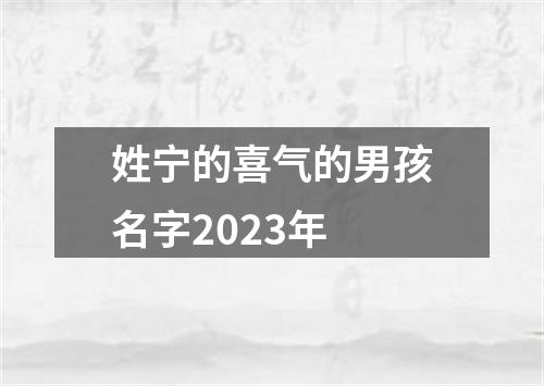 姓宁的喜气的男孩名字2023年