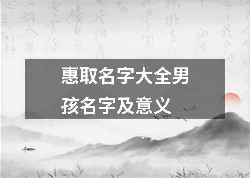 惠取名字大全男孩名字及意义