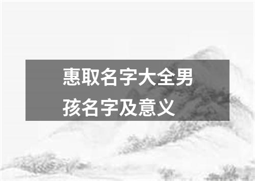 惠取名字大全男孩名字及意义