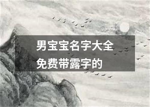 男宝宝名字大全免费带露字的