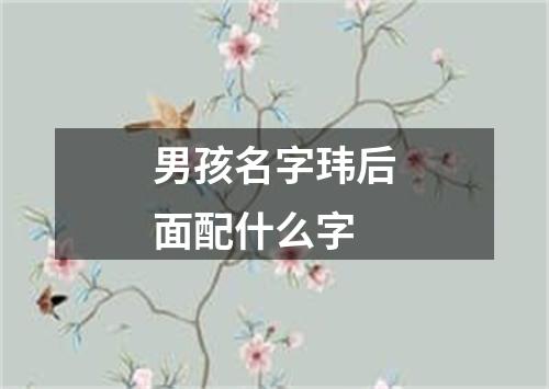 男孩名字玮后面配什么字