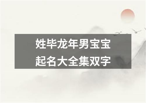 姓毕龙年男宝宝起名大全集双字