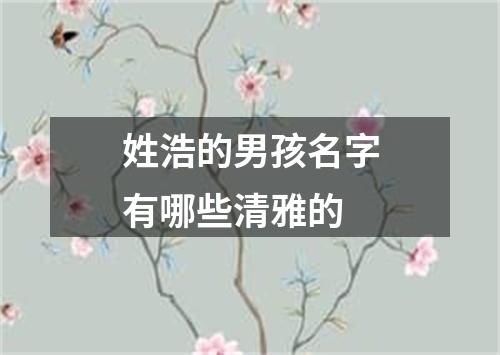 姓浩的男孩名字有哪些清雅的