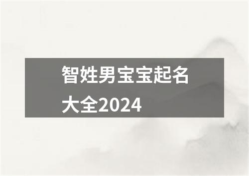 智姓男宝宝起名大全2024