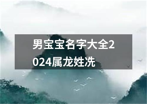 男宝宝名字大全2024属龙姓冼