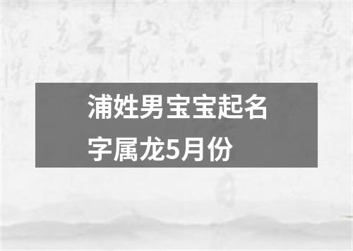 浦姓男宝宝起名字属龙5月份