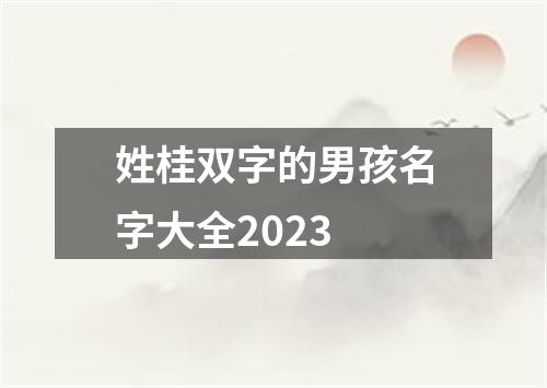 姓桂双字的男孩名字大全2023