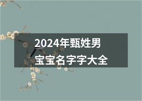 2024年甄姓男宝宝名字字大全