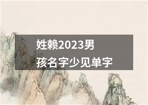 姓赖2023男孩名字少见单字